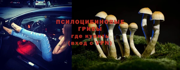 apvp Вяземский