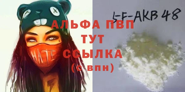 apvp Вяземский