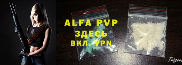 apvp Вяземский