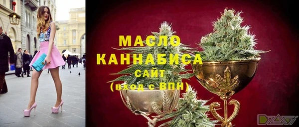 apvp Вяземский