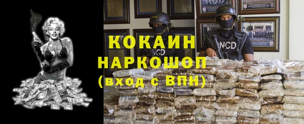 apvp Вяземский