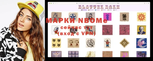 apvp Вяземский